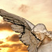 Angel Ares Photo 29