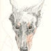 Chan Pen Photo 27