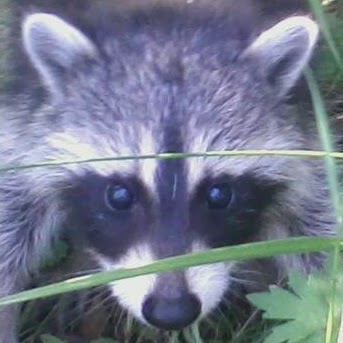 Don Lockhart Photo 9