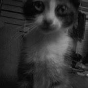 Andrea Goins Photo 6