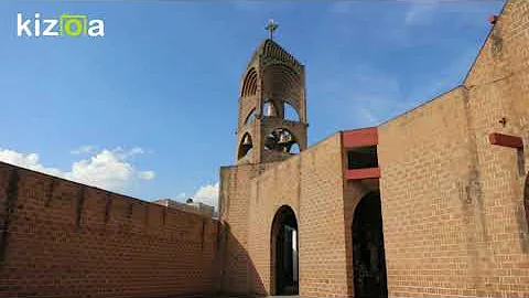 Alma Hidalgo Photo 21
