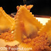 Nancy Oakes Photo 28