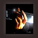 Bonnie Hand Photo 21