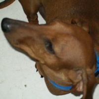 Carol Meaney Photo 2