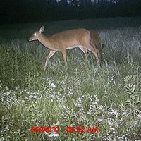 Mike Barton Photo 1
