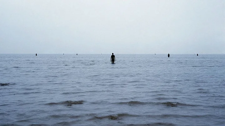 Diane Gormley Photo 22