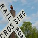 Robin Cross Photo 41