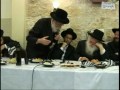 Chaim Miller Photo 6