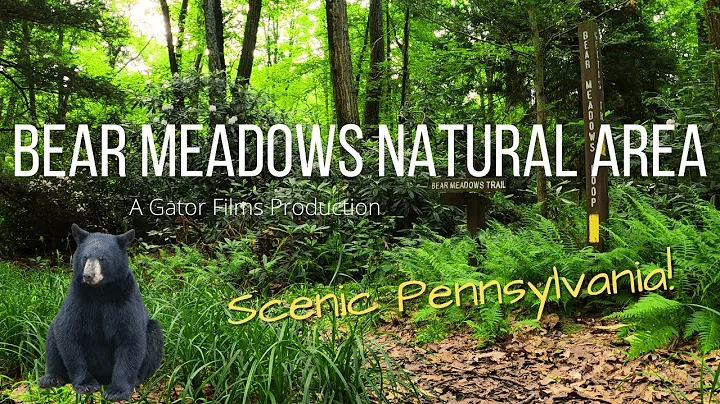 Walter Meadows Photo 17
