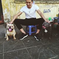 Harry Bui Photo 5
