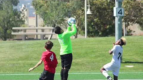 Randy Morales Photo 38