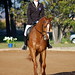Candice Rushing Photo 19