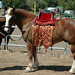 Jeffrey Hayman Photo 20