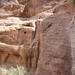 Petra Leon Photo 22