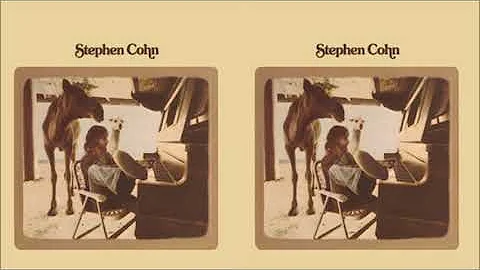 Stephen Cohn Photo 15