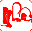 Bich Ngo Photo 8