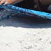 Allison Hester Photo 31