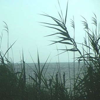 Stephanie Holmes Photo 15