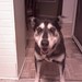Cory Wolf Photo 39