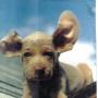 Lori Hildebrand Photo 19