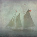 Steven Maines Photo 18