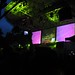 Josh Goldberg Photo 39
