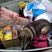 Colleen Wolf Photo 27