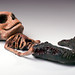 Douglas Mattson Photo 17