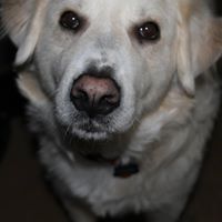 Rhett Wood Photo 2
