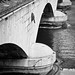 Scott Wasser Photo 25