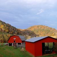 Sandra Beall Photo 2