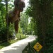 Rex Cross Photo 19