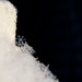 Crystal Chester Photo 27