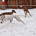 Michael Reinert Photo 42