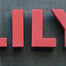 Lily Eng Photo 30