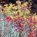 John Ridges Photo 10