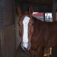 Fredrick Henderson Photo 3
