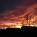 Betsy Rush Photo 31
