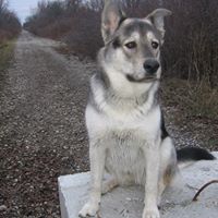 Judy Aucoin Photo 3