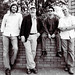 David Siff Photo 20