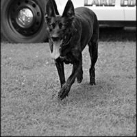 Patrick Leake Photo 3