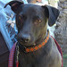Larry Coats Photo 31