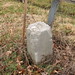 Ralph Mower Photo 15