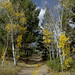 Raymond Miller Photo 43