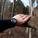 Jason Hand Photo 45