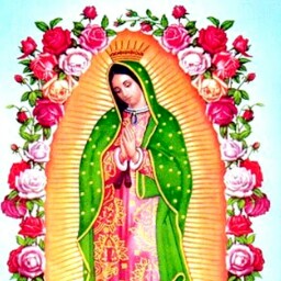 Juanita Arellano Photo 11