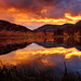 Dawn North Photo 27