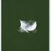 Jeffrey Feathers Photo 18