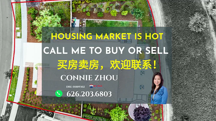Connie Zhou Photo 21