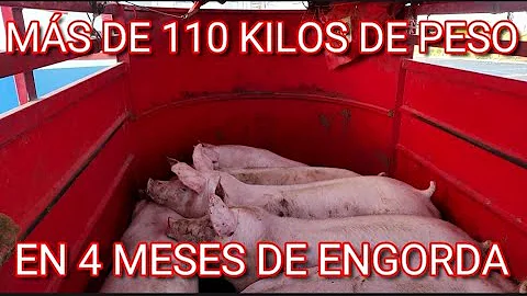 Alfredo Elizondo Photo 24